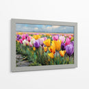 Colores en tulipanes - DIEGO D L | Cuadro decorativo de Canvas Lab