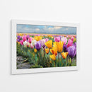 Colores en tulipanes - DIEGO D L | Cuadro decorativo de Canvas Lab