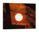Crepúsculo  - J. Leon | Cuadro decorativo de Canvas Lab