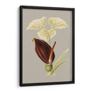 Gabinete Botánico Viii - E.W. Cooke | Cuadro decorativo de Canvas Lab