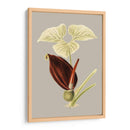 Gabinete Botánico Viii - E.W. Cooke | Cuadro decorativo de Canvas Lab