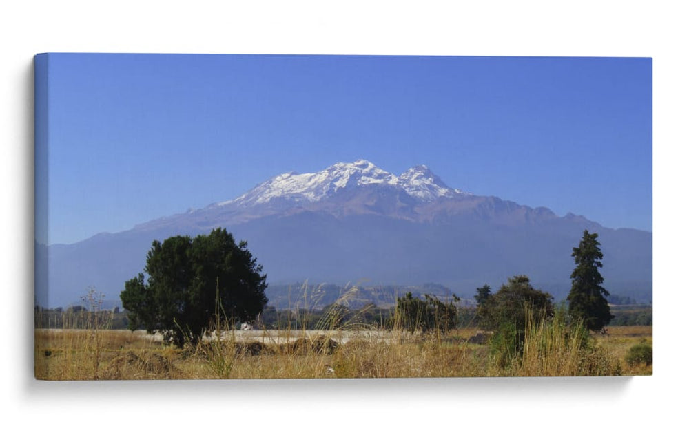 Sueño eterno  - J. Leon | Cuadro decorativo de Canvas Lab