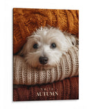 Otoño Acogedor - Puffy Design | Cuadro decorativo de Canvas Lab