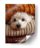 Otoño Acogedor - Puffy Design | Cuadro decorativo de Canvas Lab