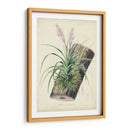 Orquídea Deleite Ii - George Severeyns | Cuadro decorativo de Canvas Lab