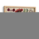 Gráfico Botánico Antiguo I | Cuadro decorativo de Canvas Lab