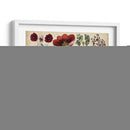 Gráfico Botánico Antiguo I | Cuadro decorativo de Canvas Lab