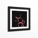 Orfeón B - Lupita | Cuadro decorativo de Canvas Lab