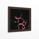 Orfeón B - Lupita | Cuadro decorativo de Canvas Lab