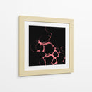 Orfeón B - Lupita | Cuadro decorativo de Canvas Lab