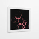 Orfeón B - Lupita | Cuadro decorativo de Canvas Lab