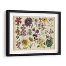 Gráfico Botánico Antiguo Iv | Cuadro decorativo de Canvas Lab