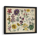 Gráfico Botánico Antiguo Iv | Cuadro decorativo de Canvas Lab