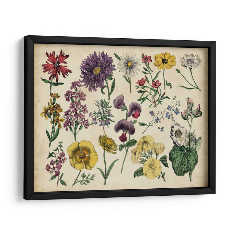 Gráfico Botánico Antiguo Iv | Cuadro decorativo de Canvas Lab