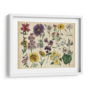 Gráfico Botánico Antiguo Iv | Cuadro decorativo de Canvas Lab