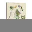 Registro Botánico I | Cuadro decorativo de Canvas Lab