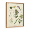 Registro Botánico I | Cuadro decorativo de Canvas Lab