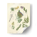 Registro Botánico I | Cuadro decorativo de Canvas Lab