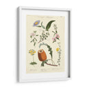 Registro Botánico Ii | Cuadro decorativo de Canvas Lab