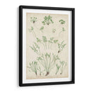 Bradbury Ferns I - Bradbury | Cuadro decorativo de Canvas Lab