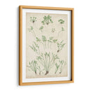 Bradbury Ferns I - Bradbury | Cuadro decorativo de Canvas Lab