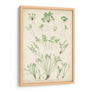 Bradbury Ferns I - Bradbury | Cuadro decorativo de Canvas Lab