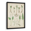 Bradbury Ferns Ii - Bradbury | Cuadro decorativo de Canvas Lab