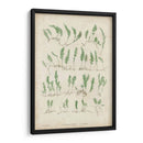 Bradbury Ferns Iii - Bradbury | Cuadro decorativo de Canvas Lab