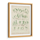 Bradbury Ferns Iii - Bradbury | Cuadro decorativo de Canvas Lab