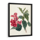 Rose Hibiscus Ii | Cuadro decorativo de Canvas Lab