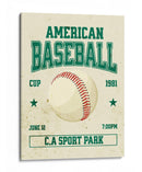 Clásico del béisbol estadounidense - Fluidys Studio IV | Cuadro decorativo de Canvas Lab