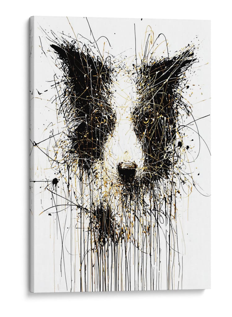 Border collie - DIEGO D L | Cuadro decorativo de Canvas Lab