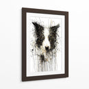 Border collie - DIEGO D L | Cuadro decorativo de Canvas Lab