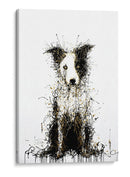 Border Collie I - DIEGO D L | Cuadro decorativo de Canvas Lab