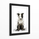 Border Collie I - DIEGO D L | Cuadro decorativo de Canvas Lab