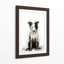 Border Collie I - DIEGO D L | Cuadro decorativo de Canvas Lab