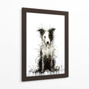 Border Collie I - DIEGO D L | Cuadro decorativo de Canvas Lab