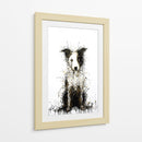 Border Collie I - DIEGO D L | Cuadro decorativo de Canvas Lab
