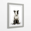 Border Collie I - DIEGO D L | Cuadro decorativo de Canvas Lab