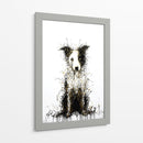Border Collie I - DIEGO D L | Cuadro decorativo de Canvas Lab