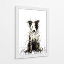 Border Collie I - DIEGO D L | Cuadro decorativo de Canvas Lab