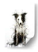Border Collie I - DIEGO D L | Cuadro decorativo de Canvas Lab