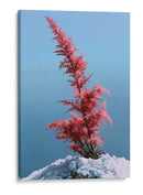 Contraste invernal - DIEGO D L | Cuadro decorativo de Canvas Lab