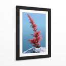 Contraste invernal - DIEGO D L | Cuadro decorativo de Canvas Lab