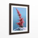 Contraste invernal - DIEGO D L | Cuadro decorativo de Canvas Lab