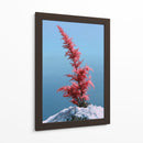 Contraste invernal - DIEGO D L | Cuadro decorativo de Canvas Lab
