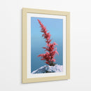 Contraste invernal - DIEGO D L | Cuadro decorativo de Canvas Lab