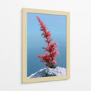 Contraste invernal - DIEGO D L | Cuadro decorativo de Canvas Lab