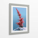 Contraste invernal - DIEGO D L | Cuadro decorativo de Canvas Lab