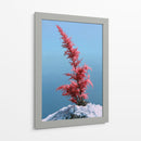 Contraste invernal - DIEGO D L | Cuadro decorativo de Canvas Lab